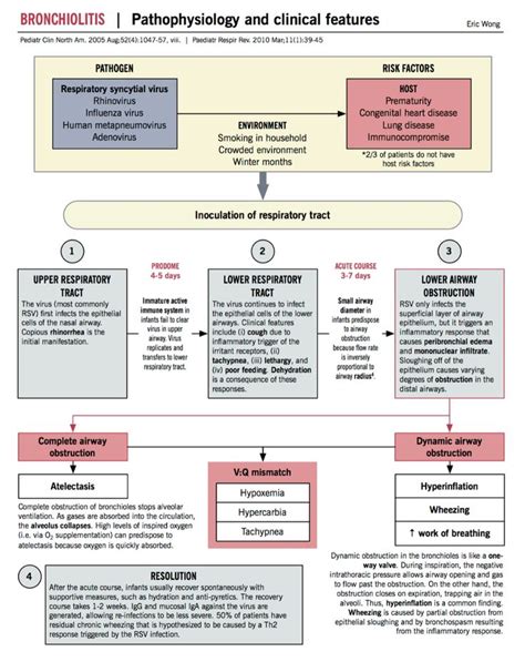 Journal Of Brown Hospital Medicine On X Pathophysiology Nursing