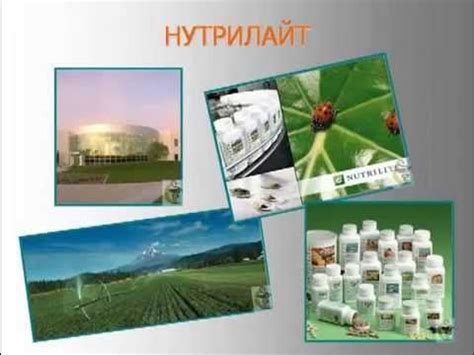 Витамины Нутрилайт АМВЕЙ. - YouTube