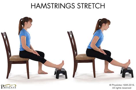 Hamstring Stretches Diagram