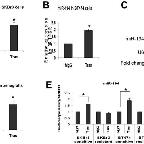 Trastuzumab Upregulates Mir 194 Expression In Vitro And In Vivo