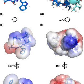 A Mp 1 And 2 Three Dimensional Models Constructed By Homology A