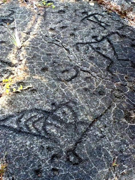 Ancient Hawaiian Petroglyphs | Big island travel, Hawaii hotels, Island travel