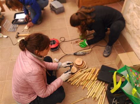 Natura Viva Cursos Tallers Oberts A Cau De Bosc