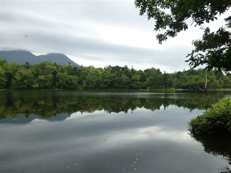 2023 Best Wildflowers Trails in Shiretoko National Park | AllTrails