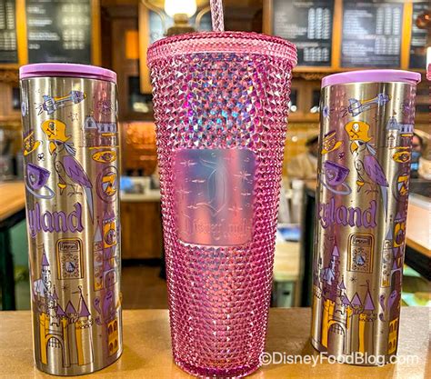 Starbucks Disneyland Tumbler Town Green