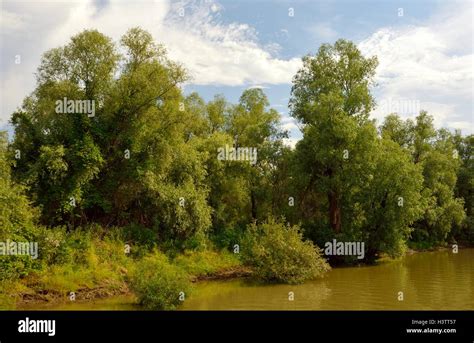 Danube Delta, Romania Stock Photo - Alamy