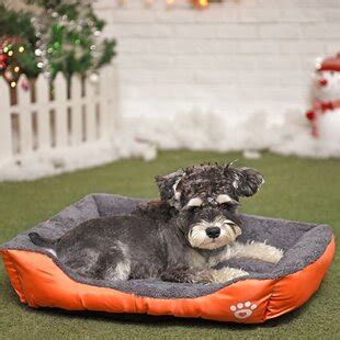 Wayfair | Extra Large Dog Beds You'll Love in 2022