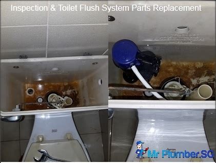 Toilet Flush System / Toilet Flush Tank Installation, Replacement & Repair - Mr Plumber ...