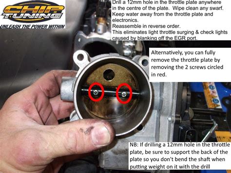 Throttle Plate Mod Chip Tuning Australia