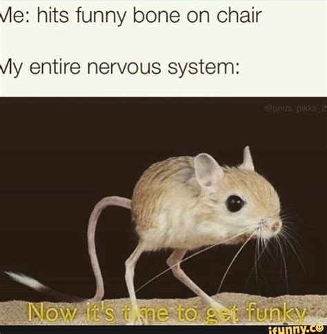 E Hits Funny Bone On Chair Y Entire Nervous System Ifunny