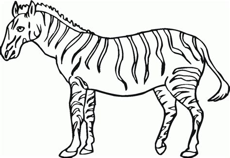 Zebra Coloring Pages - Learny Kids