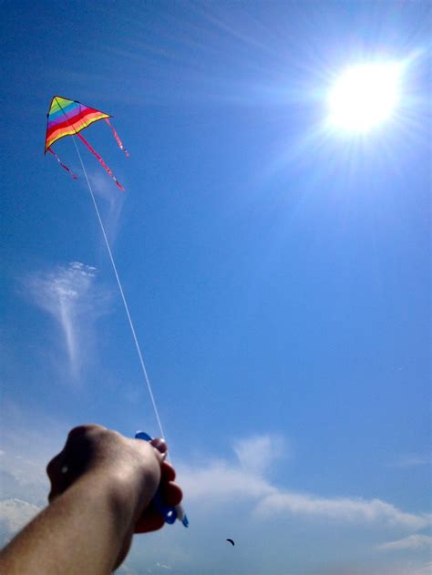 Kite flying | Kite flying, Kite festival, Kite