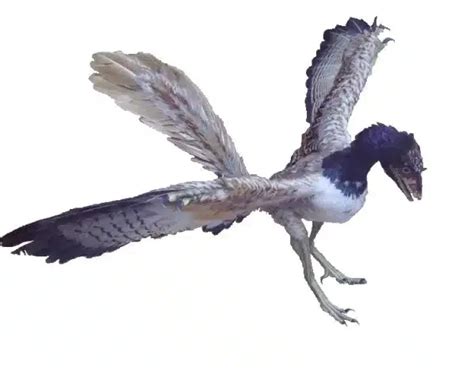 Archaeopteryx: Ancient Winged Dinosaur from the Jurassic