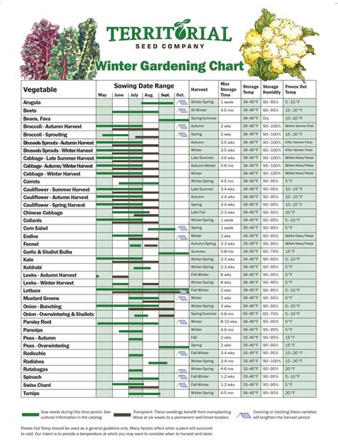 Zone 8b Vegetable Planting Calendar Nady Tallou