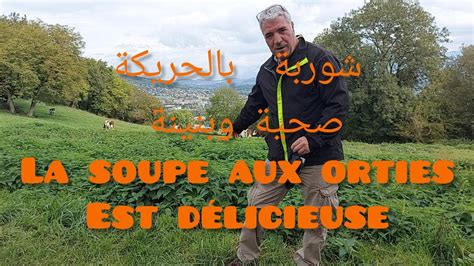 La Soupe Aux Orties Est