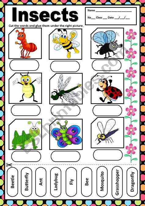 Insects Matching Esl Worksheet By Macomabi