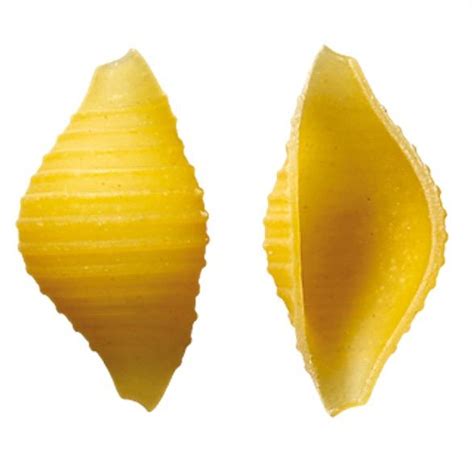 Arrighi - Corte
