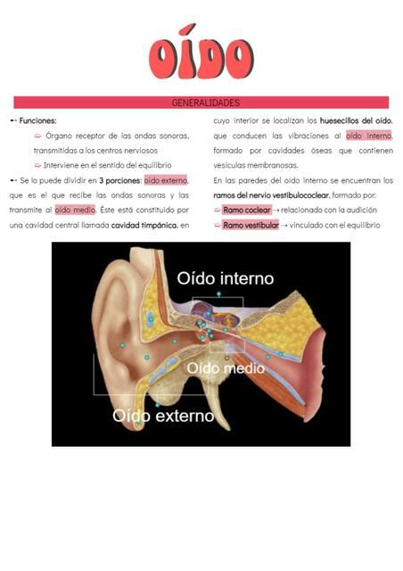 O Do Marti Vaccaro Udocz