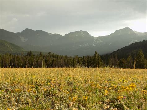 Mountain Meadow In Rocky Mountain National Park Oc 5152x3864 R