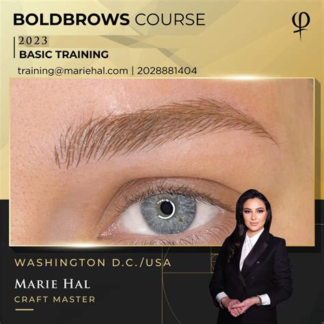 Best Phibrows Microblading Training Dc Microblading Training