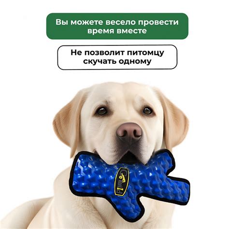 Купить мягкую игрушку для собак средних и крупных пород: Австралийский ...