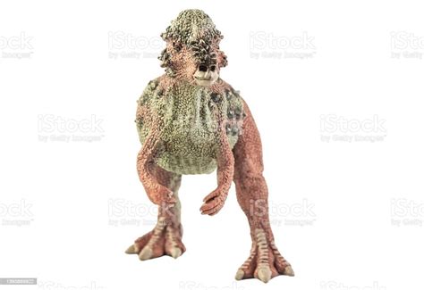 Pachyrhinosaurus Dinosaur On Isolated Background Clipping Path Stock