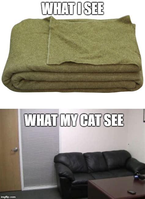 Cats Love Their Blankets Imgflip