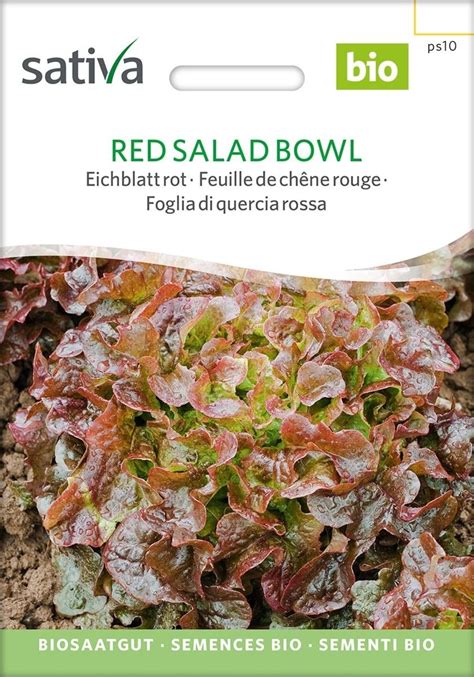 Sativa Feuille De Ch Ne Rouge Bio Red Salad Bowl Sachet