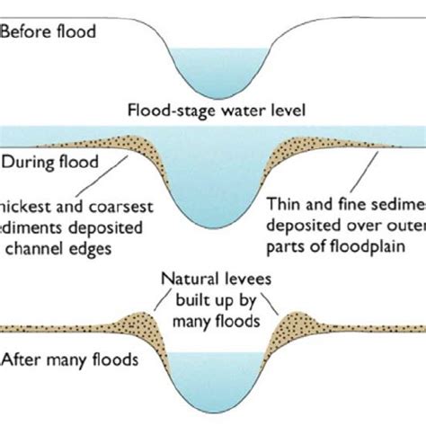 3: Natural levees exist along most perennial channels subject to ...