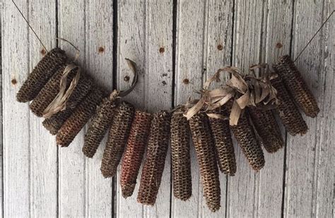 Extreme Primitive Dried Corn Cob Garland Cabin Early Look Fall Harvest