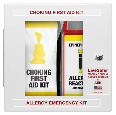 Choking / Food Allergy Emergency Cabinet with Signage (Empty)