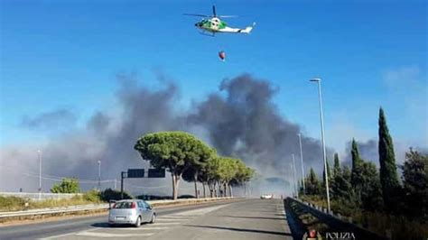 Incendio Doloso Sulla Via Pontina Indagini Della Forestale