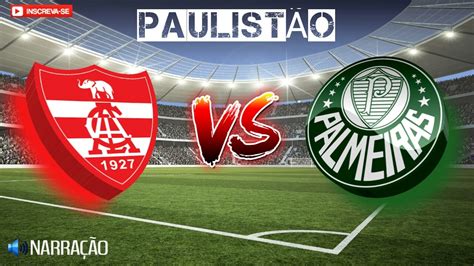 LINENSE X PALMEIRAS AO VIVO YouTube