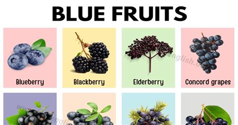 24 Blue Fruits With Best Benefits For Your Health Love English