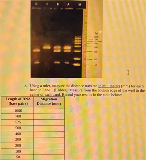 solved    table cheggcom