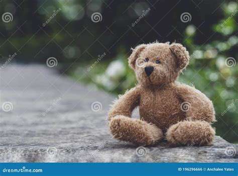 Teddy Bear With Sad Face Sitting On Footpath With Blurry Nature