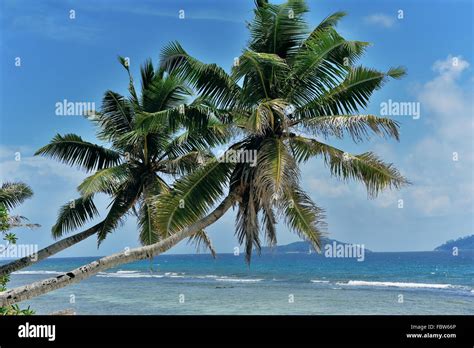 Beach La Digue Stock Photo - Alamy