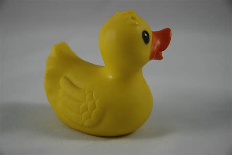 Toy Rubber Duck Bird Free Stock Photo - Public Domain Pictures
