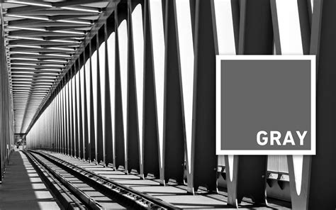 All About Gray: Origin, Theory, Design Applications, and Color Schemes