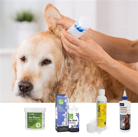 Dog Ear Cleaning Solution Recipe / Curicyn Ear Cleaning Solution for Dogs Rapid Healing ...