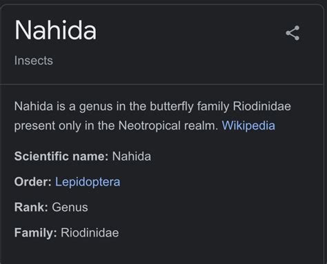 Nahida The Butterfly Genshin Impact Hoyolab