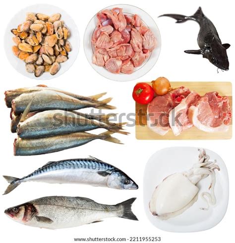 Collection Raw Meat Poultry Fish Isolated Stock Photo 2211955253 | Shutterstock