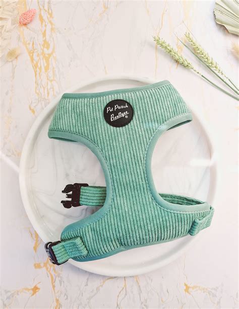 Sage Green Dog Harness at Maddison Rosenthal blog
