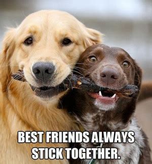 Best Friends Stick Together Quotes. QuotesGram