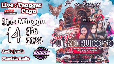 Live Jaranan Rogo Samboyo Putro Ft Shf Audio Live Banyu Anyar Gurah