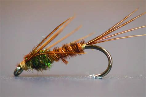 Best Winter Trout Flies Fly Selection Guide