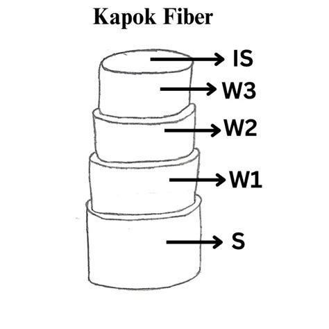 Kapok Fiber Properties Structure And Production Process