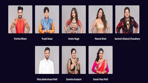 Bigg Boss Marathi 3 Voting Process How To Vote For Sneha Vikas