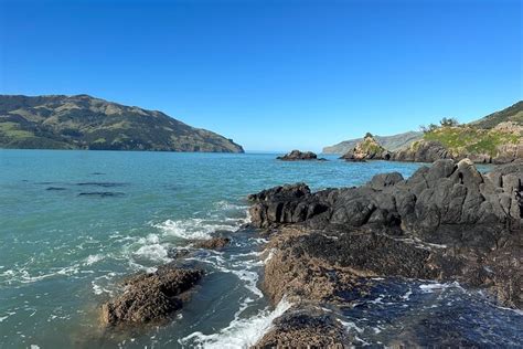 2023 Coasteering in the stunning Wainui Bay