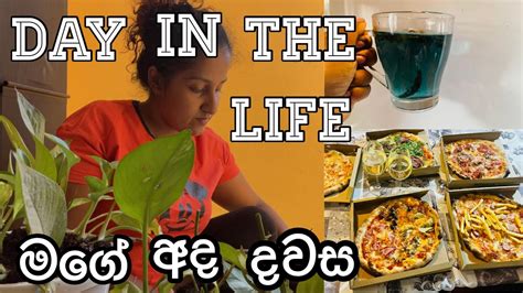 Day In The Life මගේ අද දවස Life In Italy 🇮🇹 Madu Liyanage Youtube